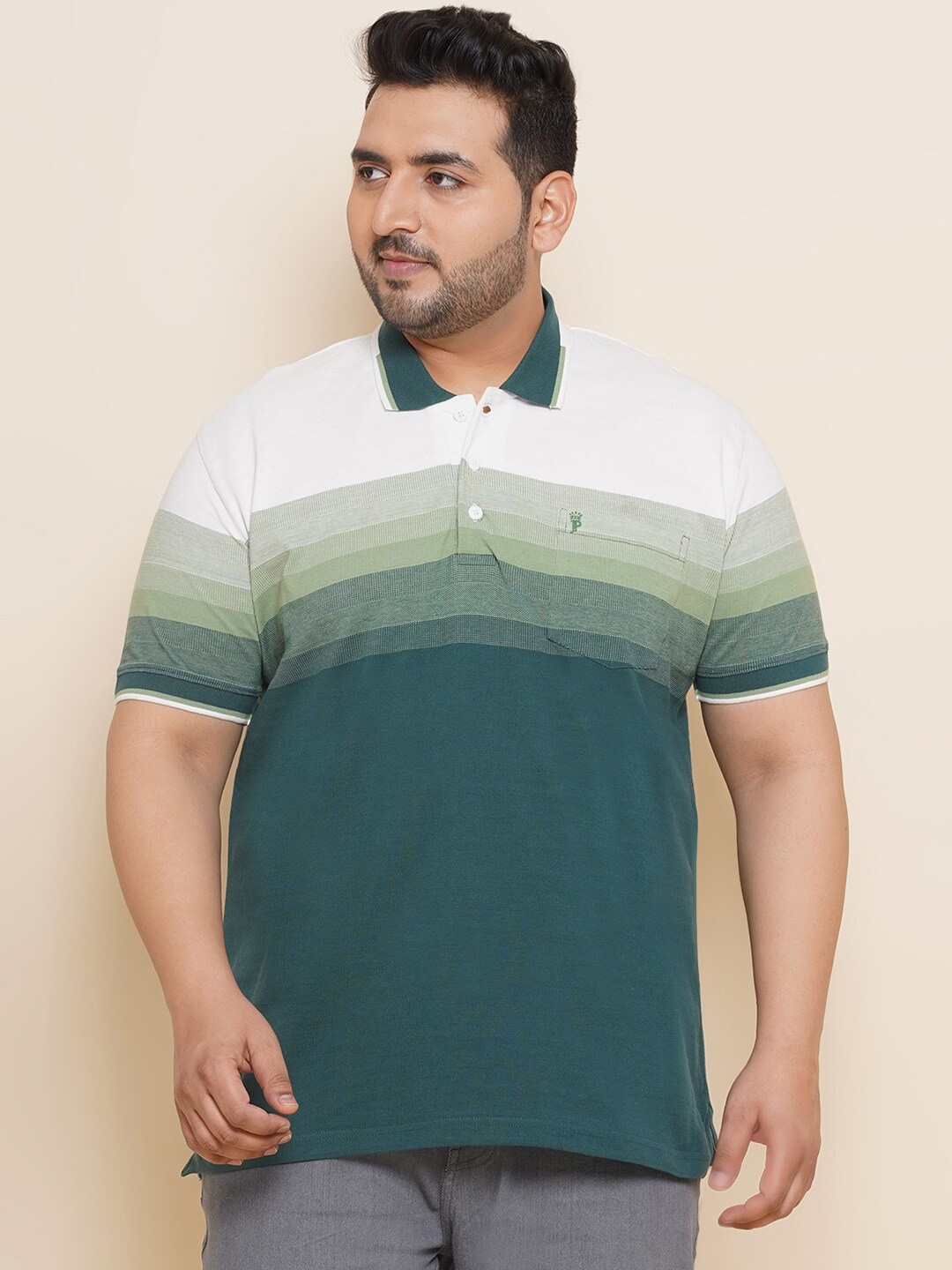 

John Pride Plus Size Horizontal Striped Polo Collar Cotton T-shirt, Green