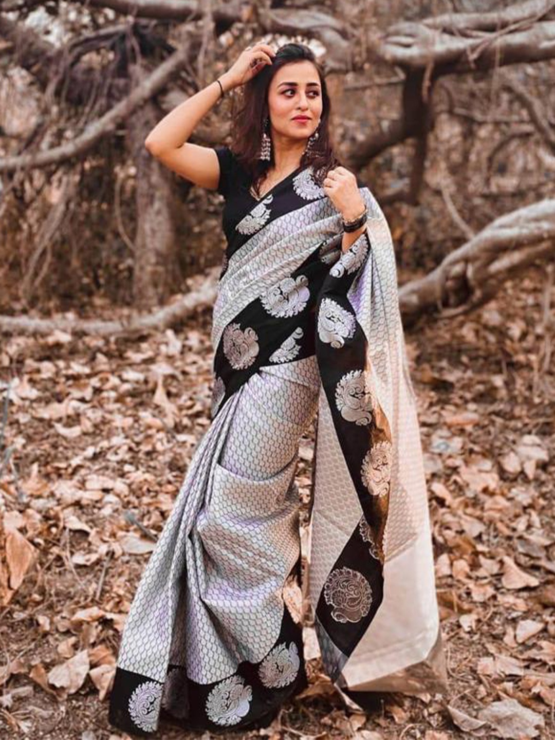 

Fab Viva Woven Design Zari Pure Silk Banarasi Saree, Silver