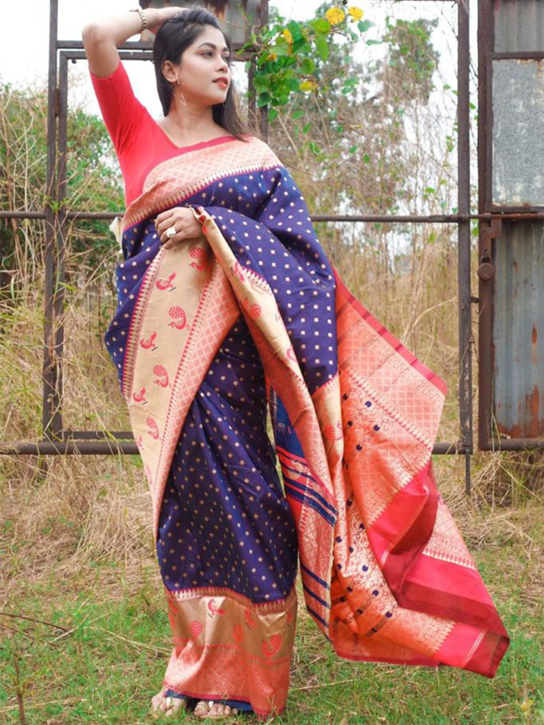 

Fab Viva Woven Design Zari Pure Silk Banarasi Saree, Navy blue
