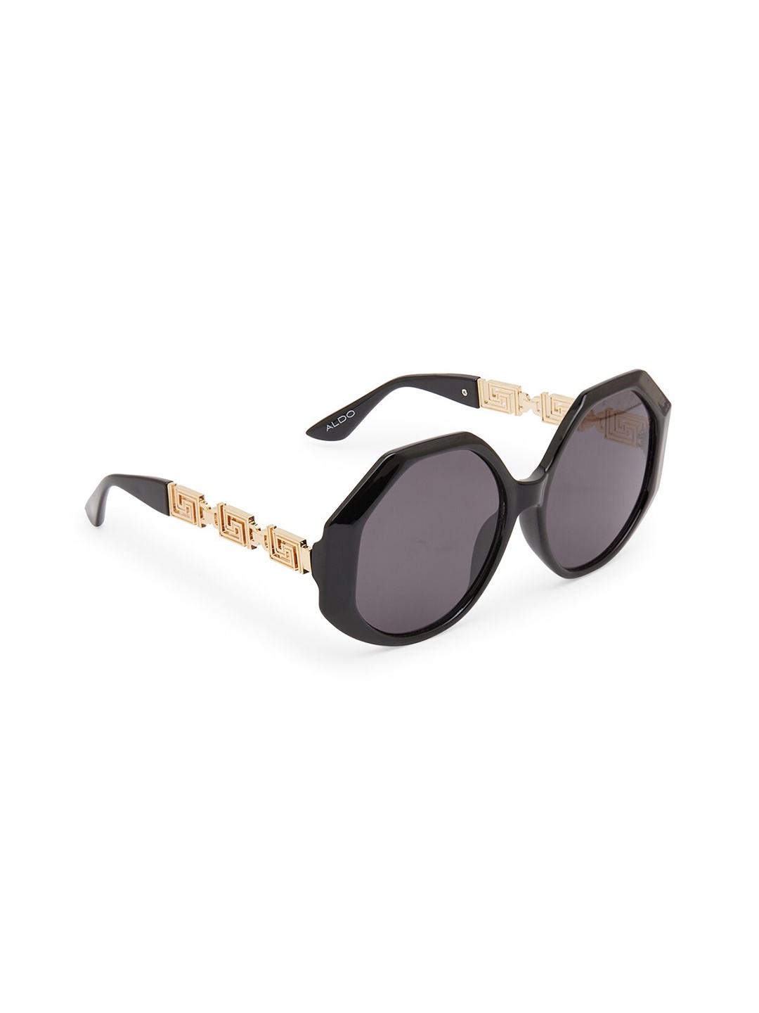 

ALDO Women Lens & Round Sunglasses 628155589142, Black