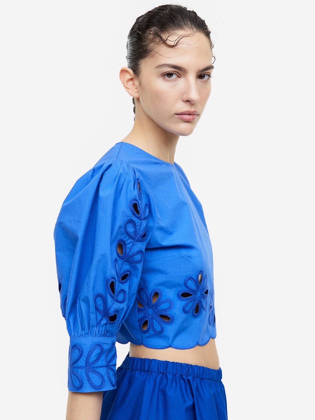 

H&M Puff-Sleeved Embroidered Blouse, Blue