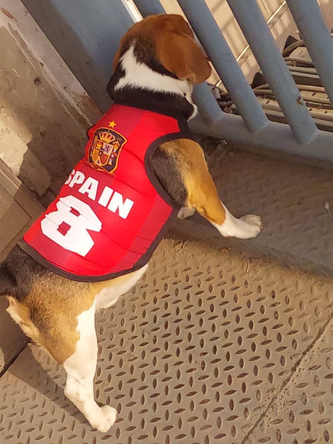 

Lulala Printed Breathable Dog T-shirt, Red