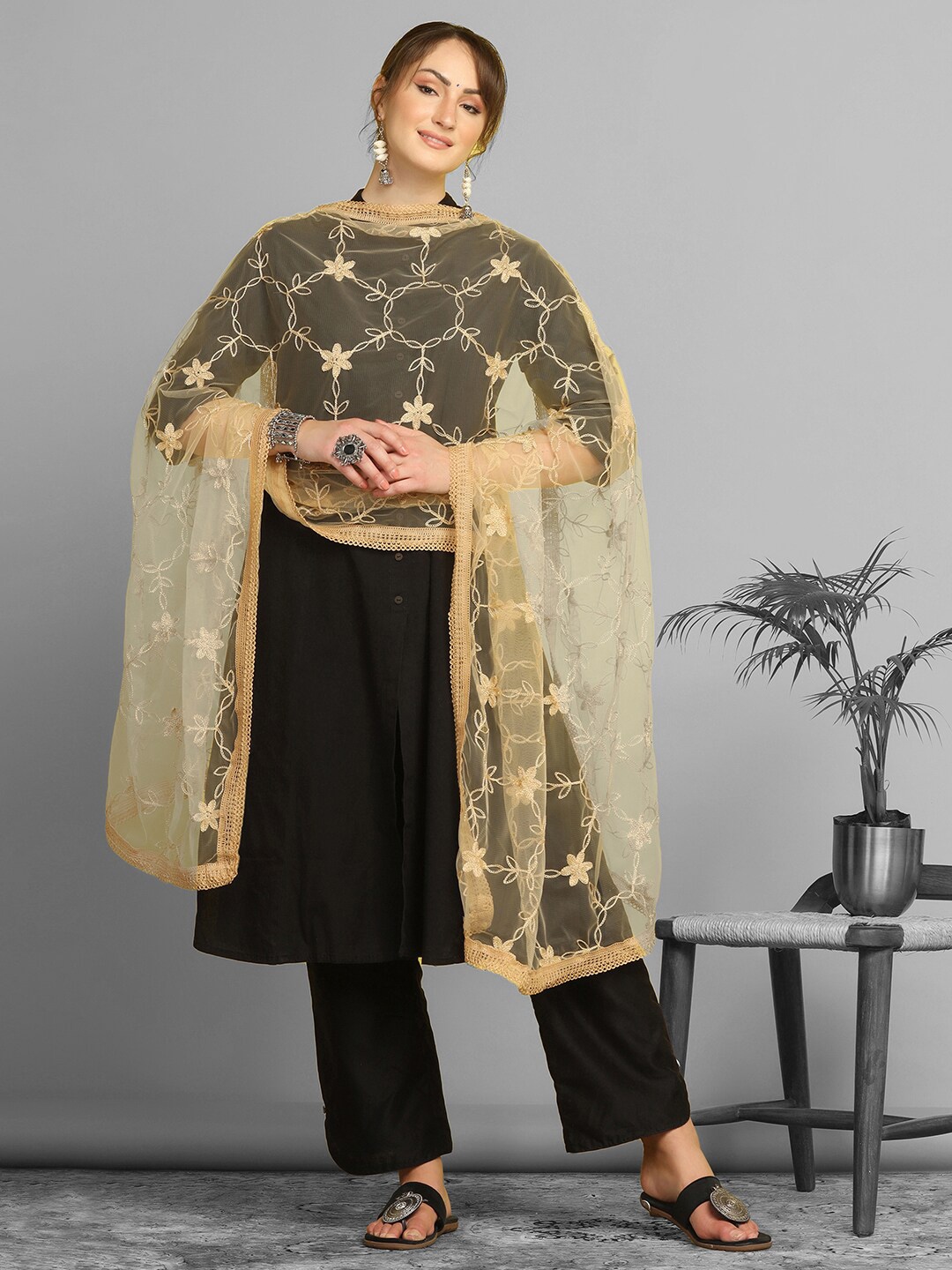 

Satrani Ethnic Motifs Embroidered Net Dupatta, Beige