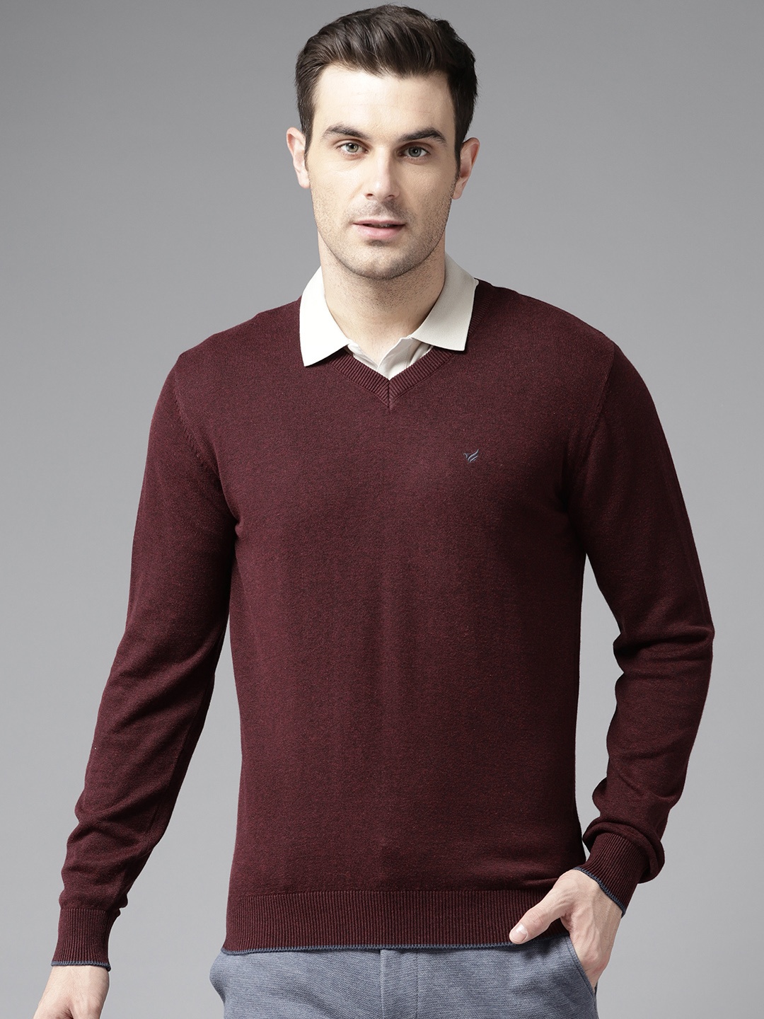 

Blackberrys Long Sleeves Regular Pullover, Maroon