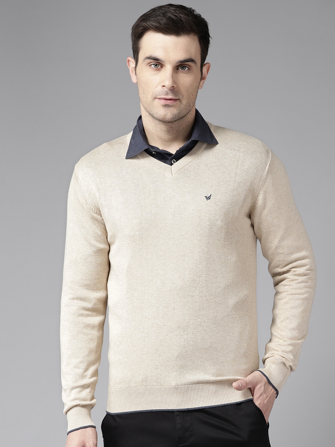 

Blackberrys Long Sleeves Regular Pullover, Beige