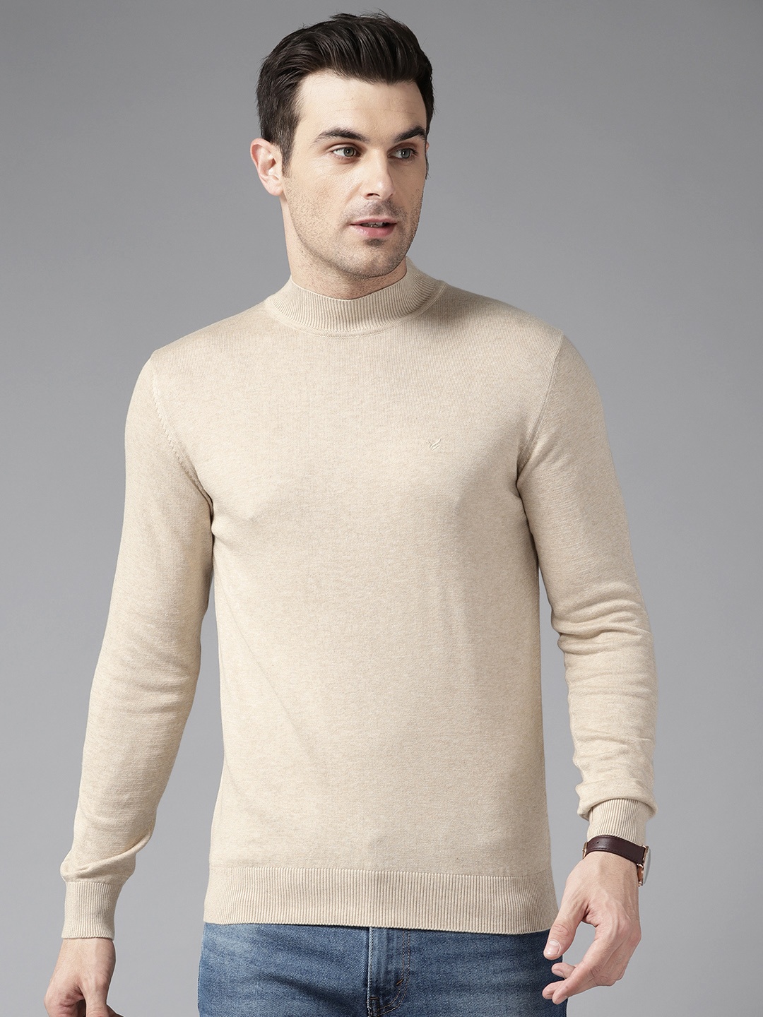 

Blackberrys Turtle Neck Full Sleeves Pullover, Beige