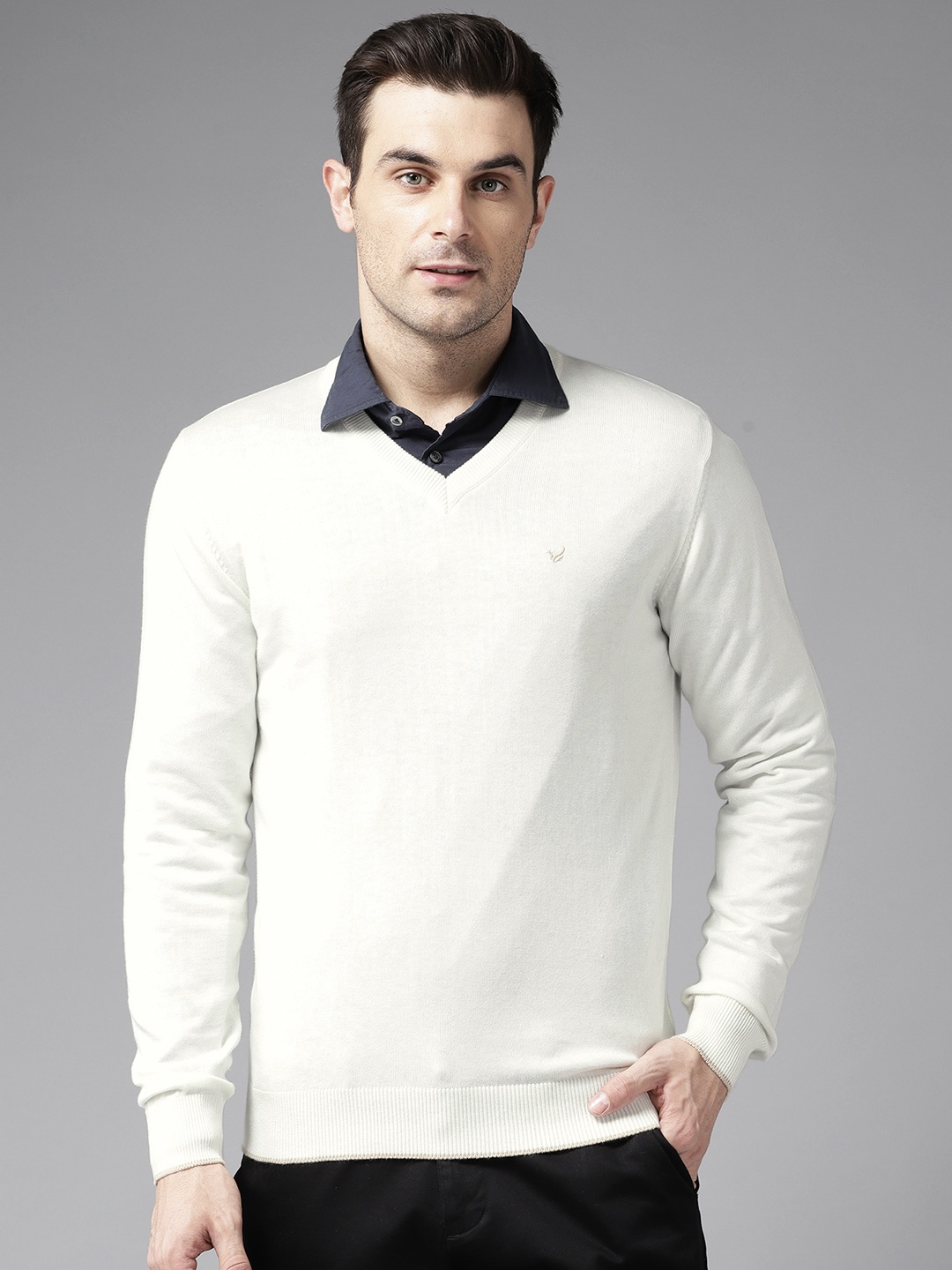 

Blackberrys V-Neck Full Sleeves Pullover, White