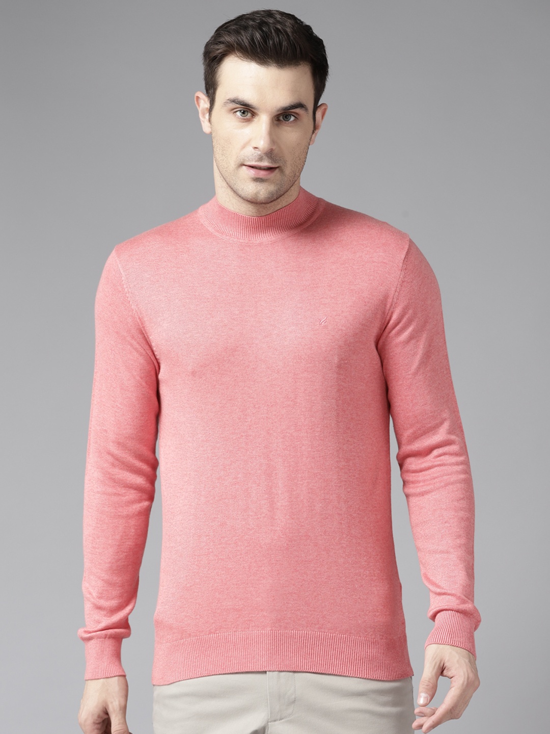 

Blackberrys High Neck Long Sleeves Regular Pullover, Peach