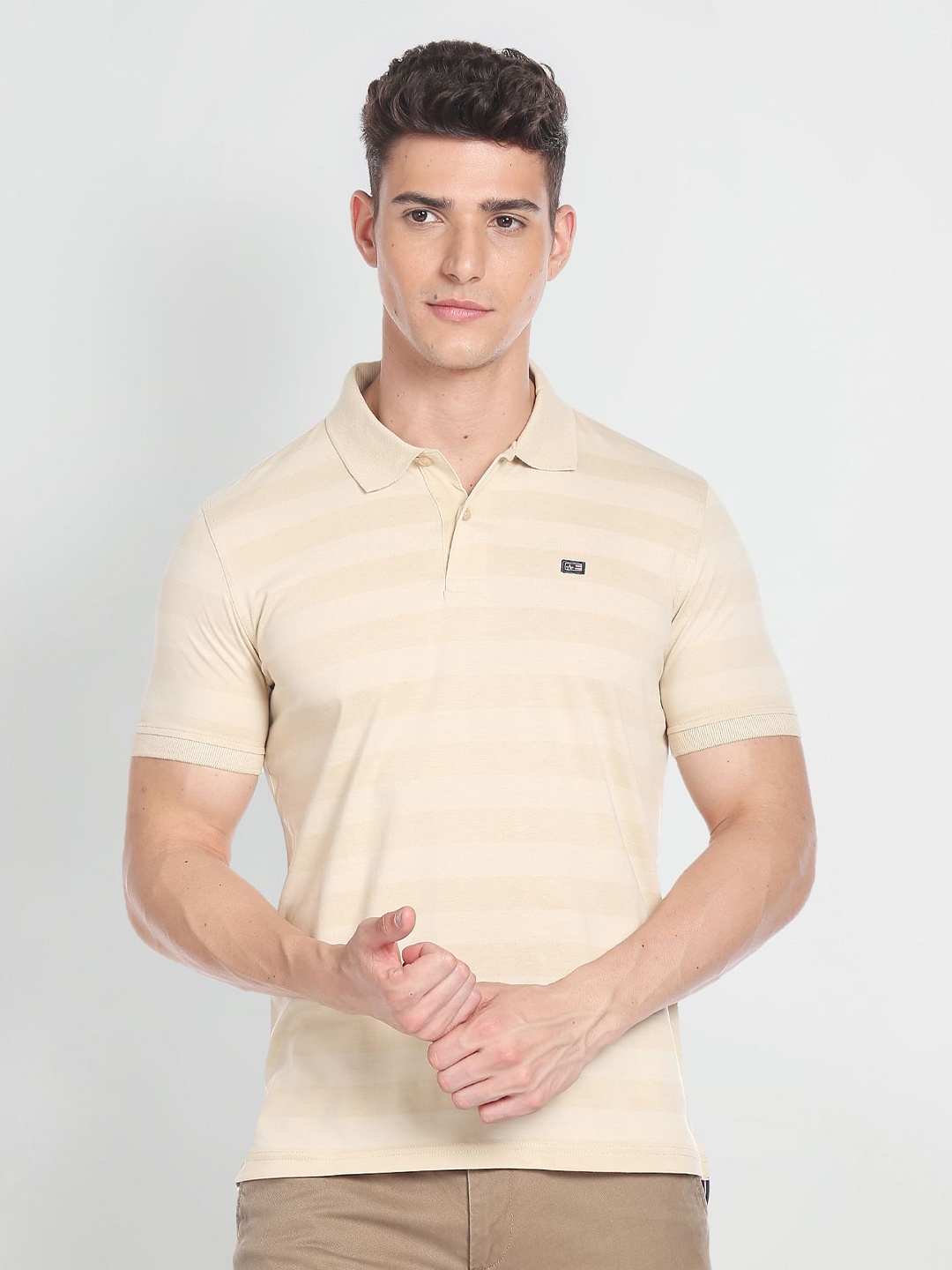 

Arrow Sport Striped Polo Collar T-Shirt, Beige