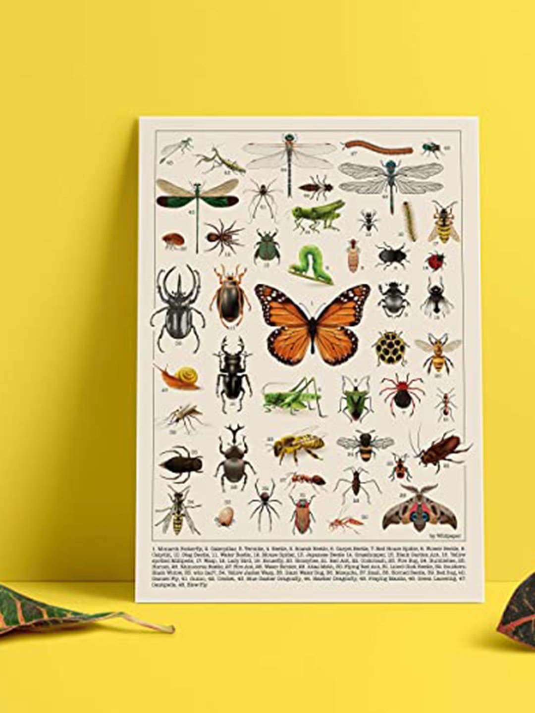 

happywagon Creepy Crawlies & Winged Wonders Non-Tearable Poster, White