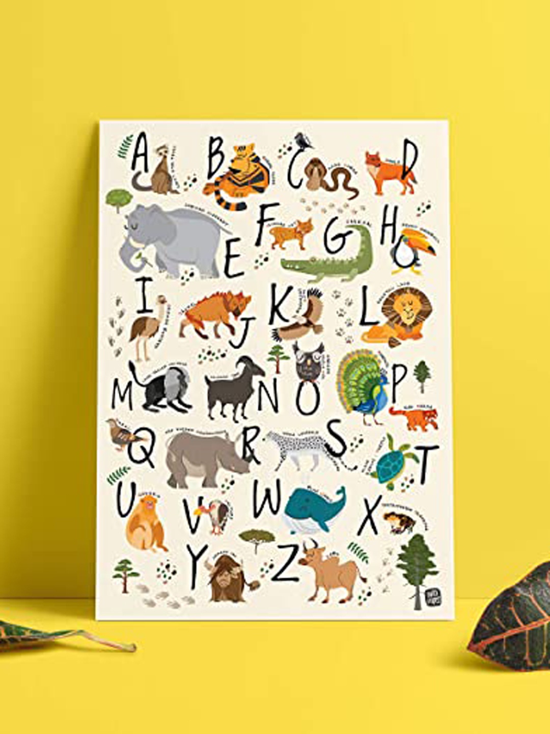

happywagon Learning & Development Toys Non-Tearable Poster, White