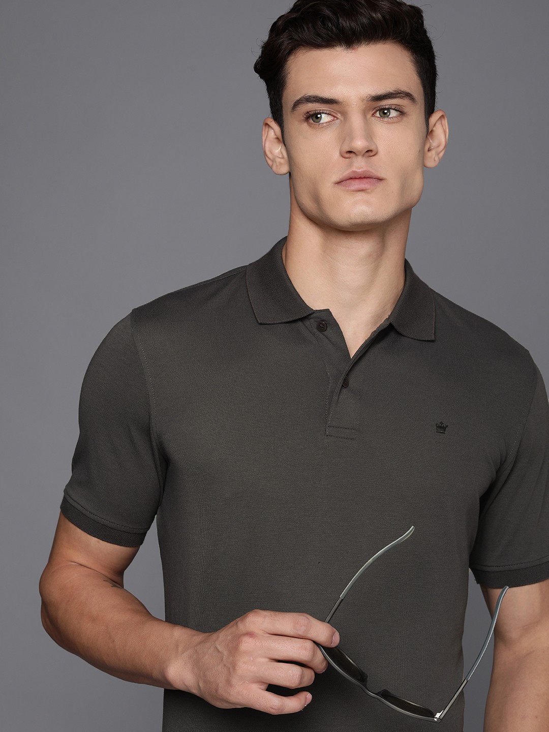 

Louis Philippe Men Regular Fit Polo Collar T-shirt, Grey