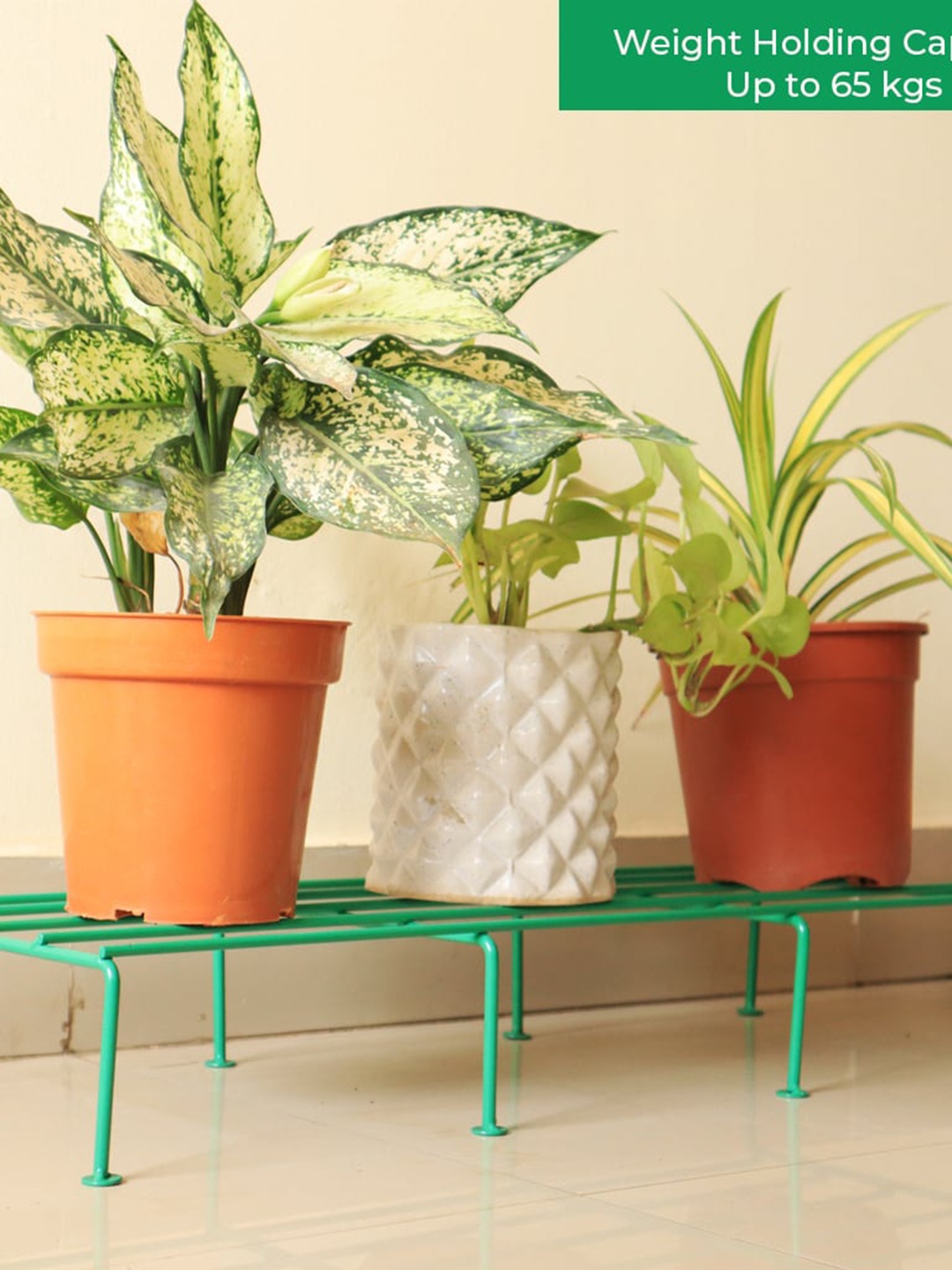

TRUSTBASKET Green 4-Pieces Metal Rust-Resistant Planter Stand