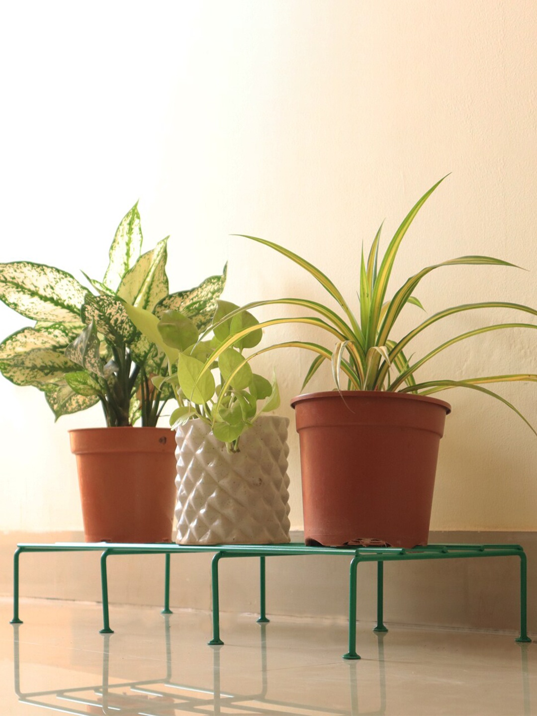 

TRUSTBASKET Green Metal Rectangular Planter Stand