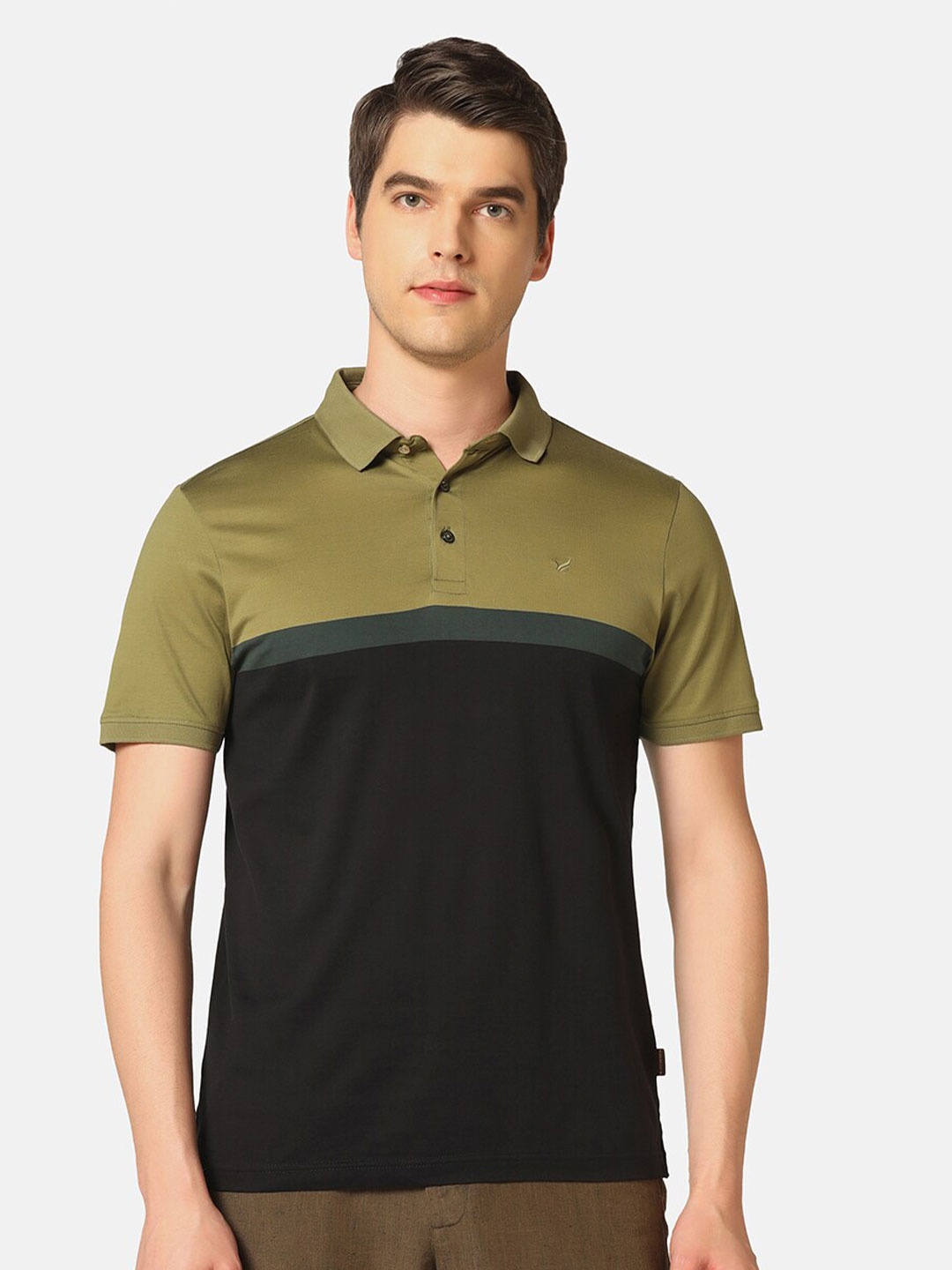 

Blackberrys Colourblocked Polo Collar Slim Fit Pure Cotton T-shirt, Green