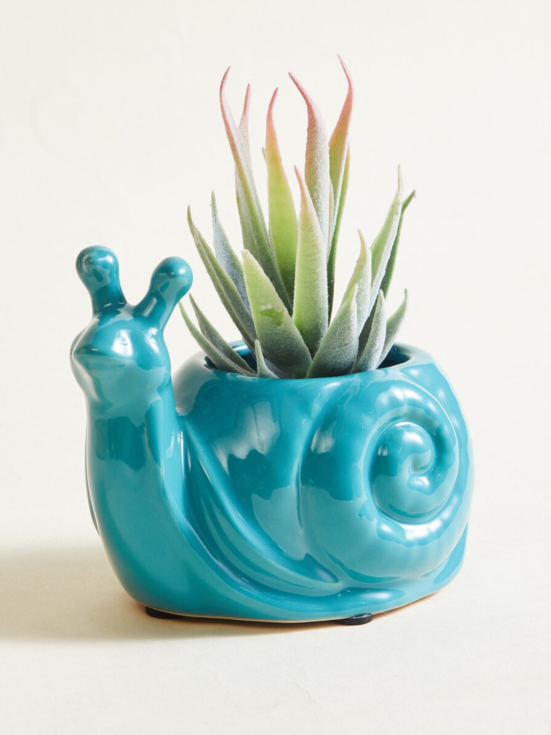 

Home Centre Malta Blue Snail Shape Ceramic Planter