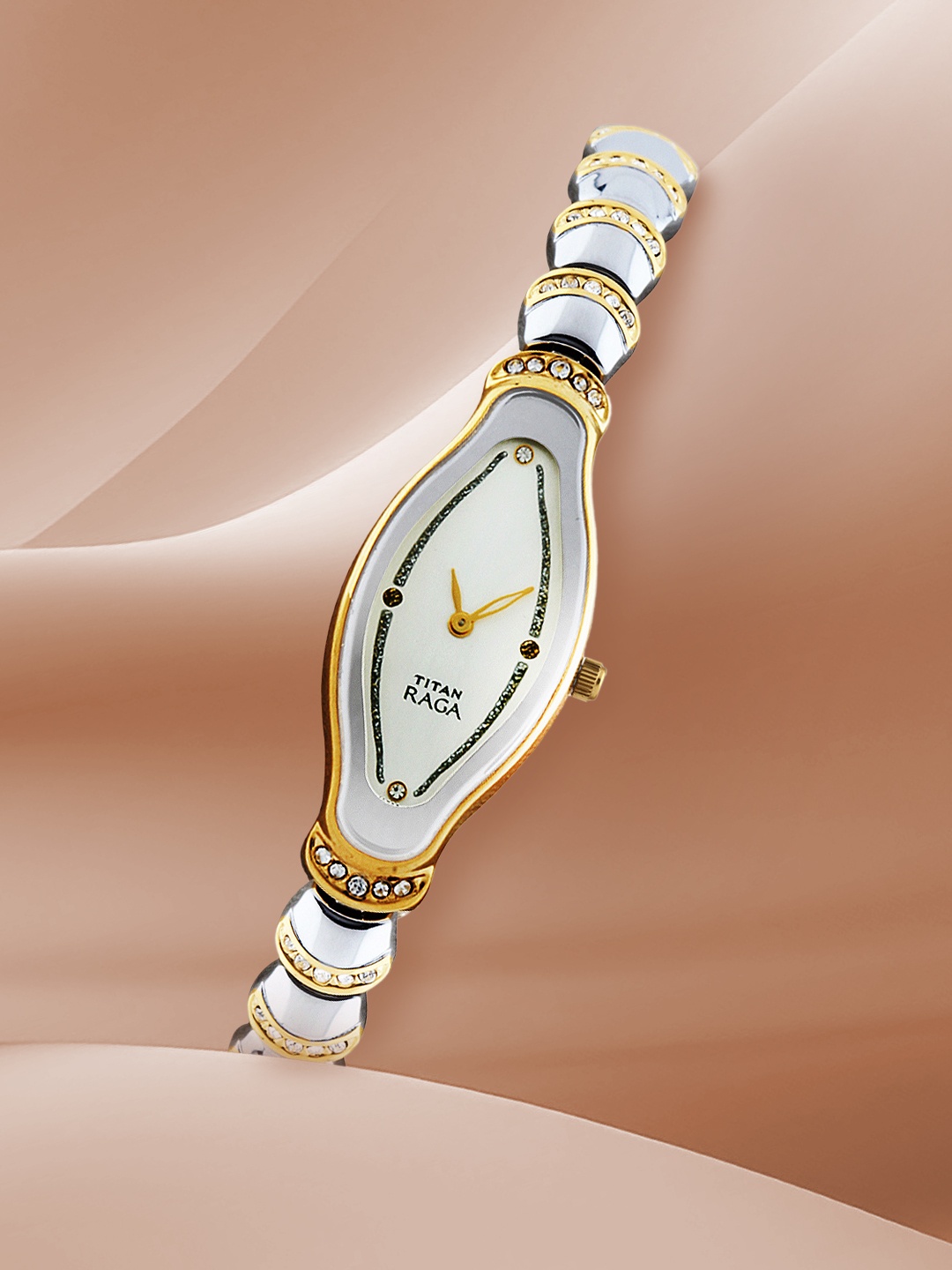 

Titan Raga Women Silver Toned Dial Watch NE2395BM01T
