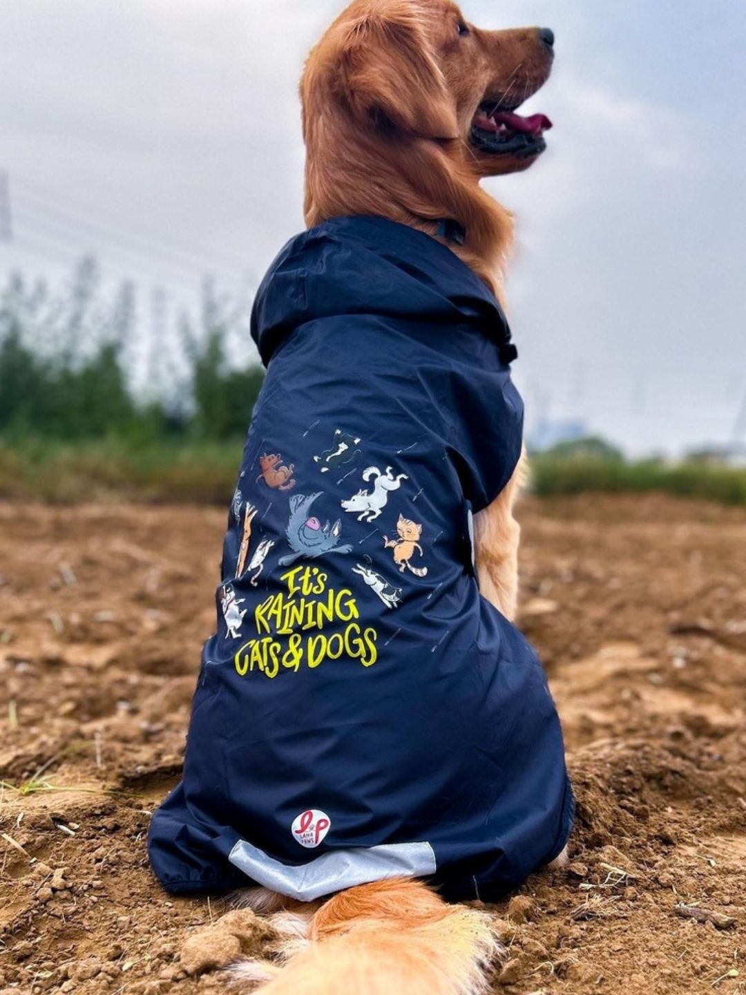 

LANA PAWS Printed Waterproof Dog Raincoat, Black