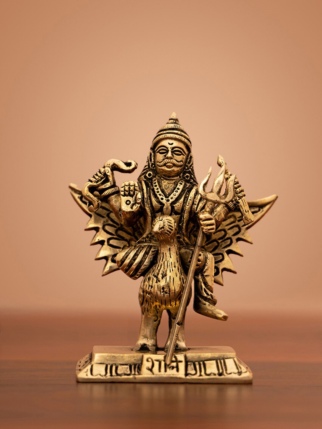 

DecorTwist Gold-Toned Textured Shani Dev Idol Showpiece