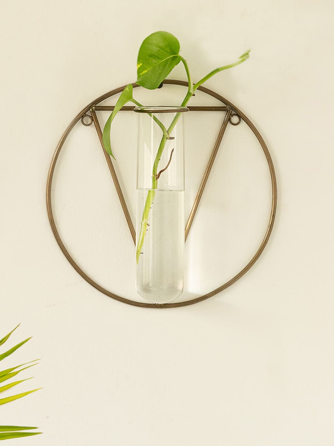 

ExclusiveLane Modern Glass Garden Transparent Test Tube Wall Planter