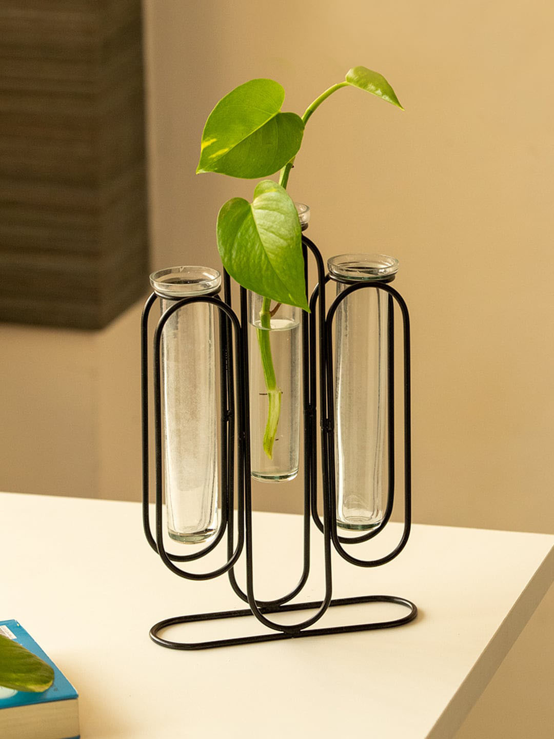 

ExclusiveLane Modern Glass Garden Transparent & Black Test Tube Wall Planter