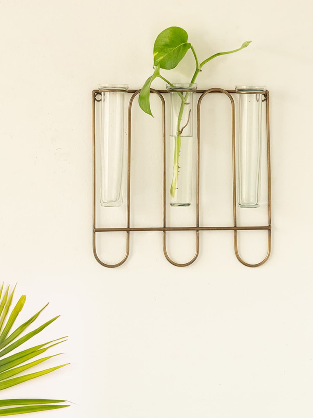 

ExclusiveLane Modern Glass Garden Transparent Glass 3 Test Tube Wall Planter With Holder