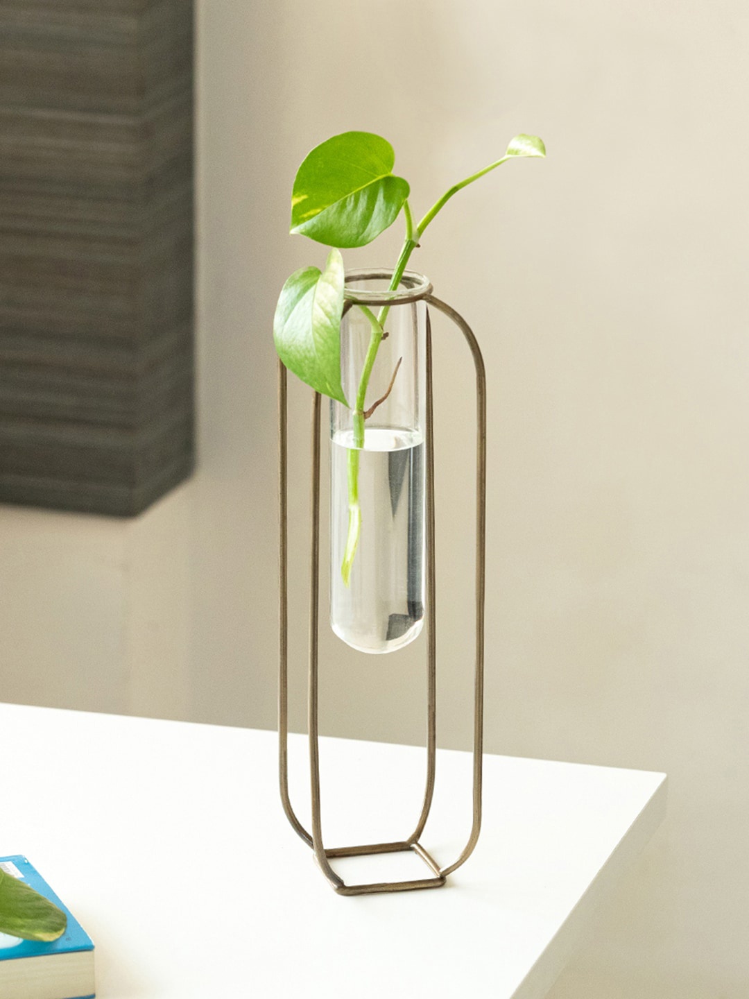

ExclusiveLane Modern Glass Garden Transparent Glass Test Tube Planter With Holder