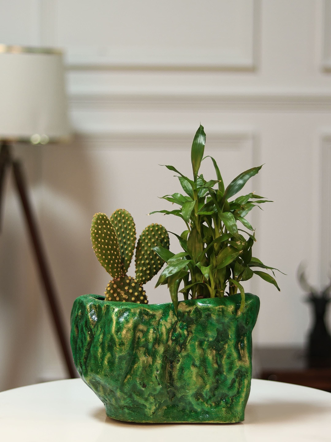 

Stylespace by Isha Green & Gold-Toned Textured Indoor Pot Planter