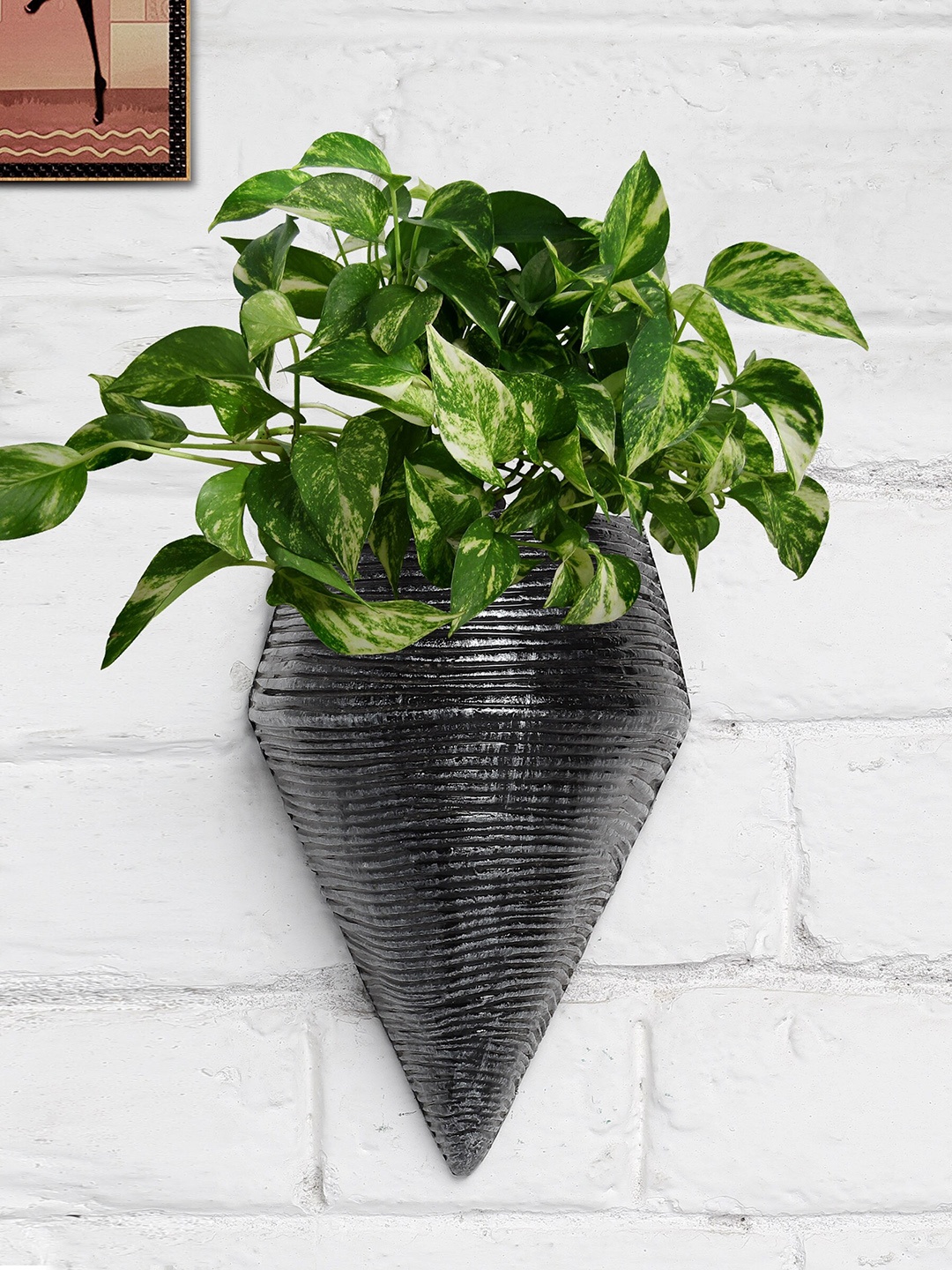 

Stylespace by Isha Black Textured Fiber Wall Planter