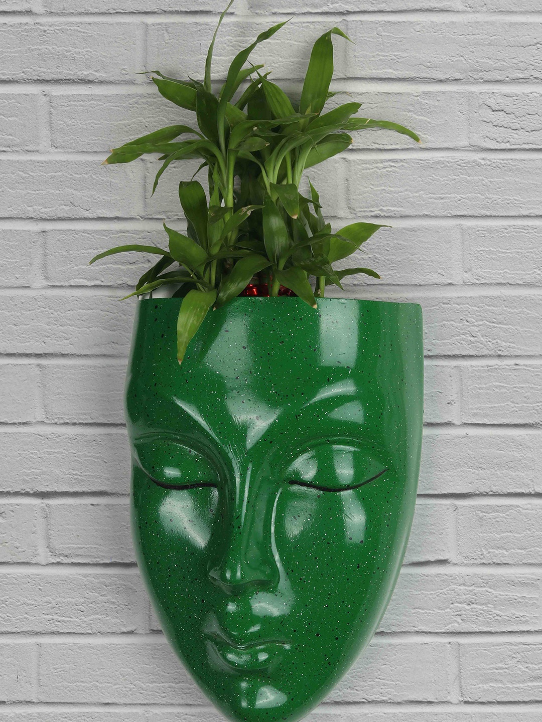 

STYLESPACE BY ISHA Green Face Shape Hanging Wall Planter