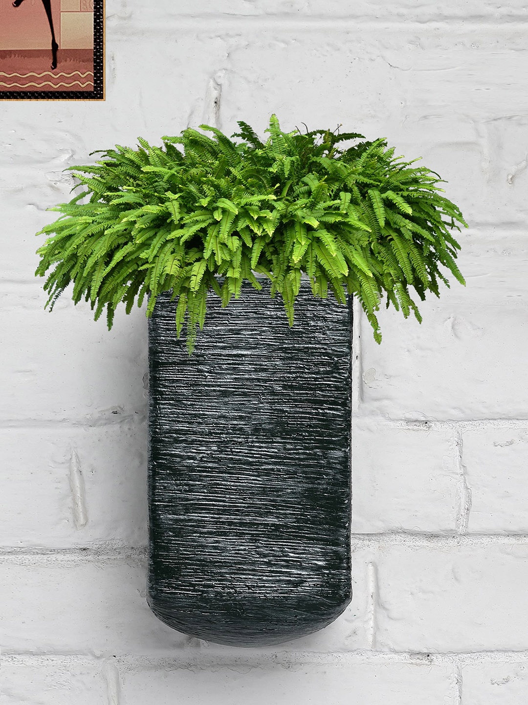 

Stylespace by Isha Green & Silver-Toned Metallic Finish U-Shaped Fiber Wall Planter