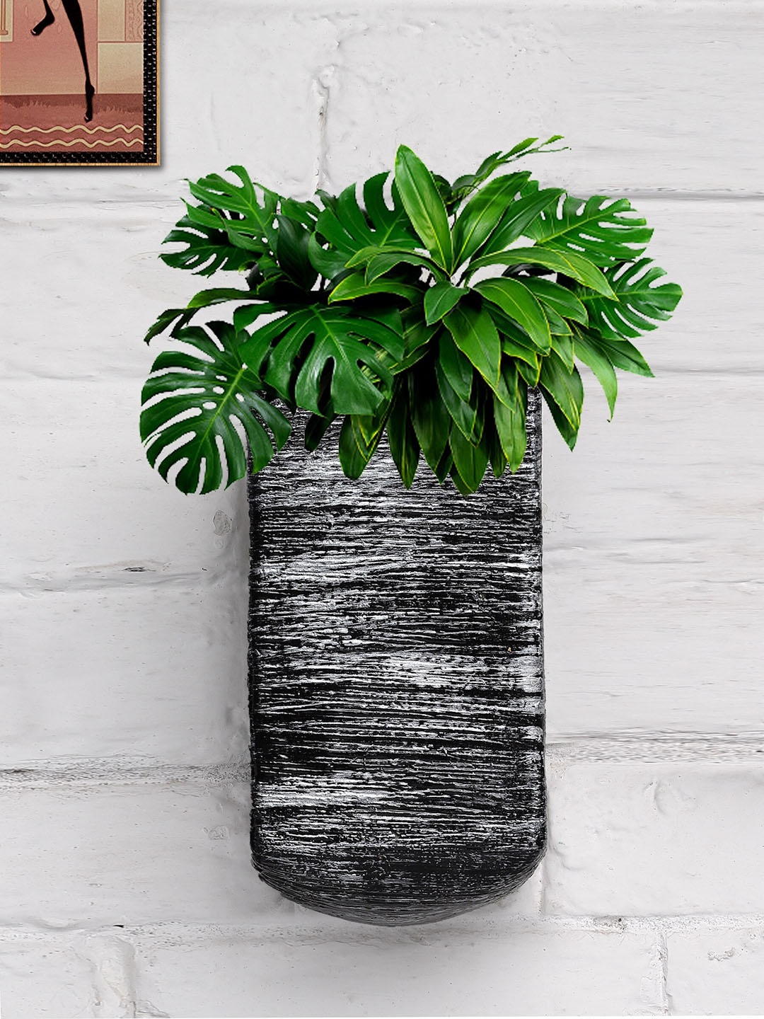 

Stylespace by Isha Grey & Black U Shape Fiber Wall Hanging Planter