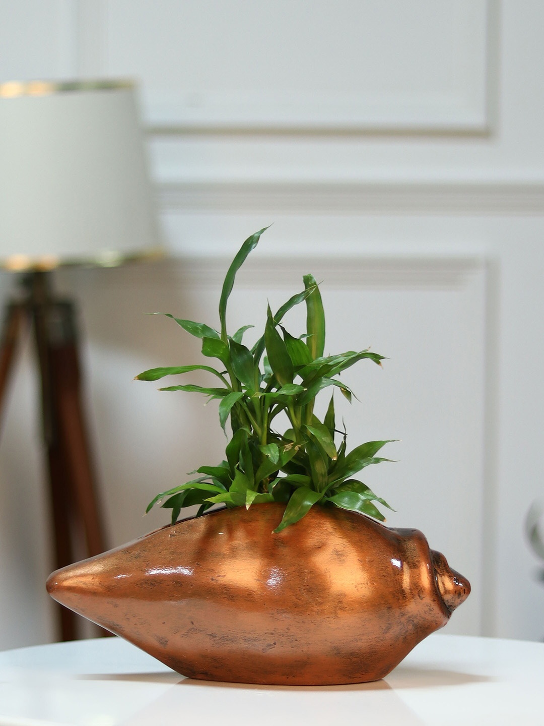 

Stylespace by Isha Copper-Toned Indoor Pot Planter