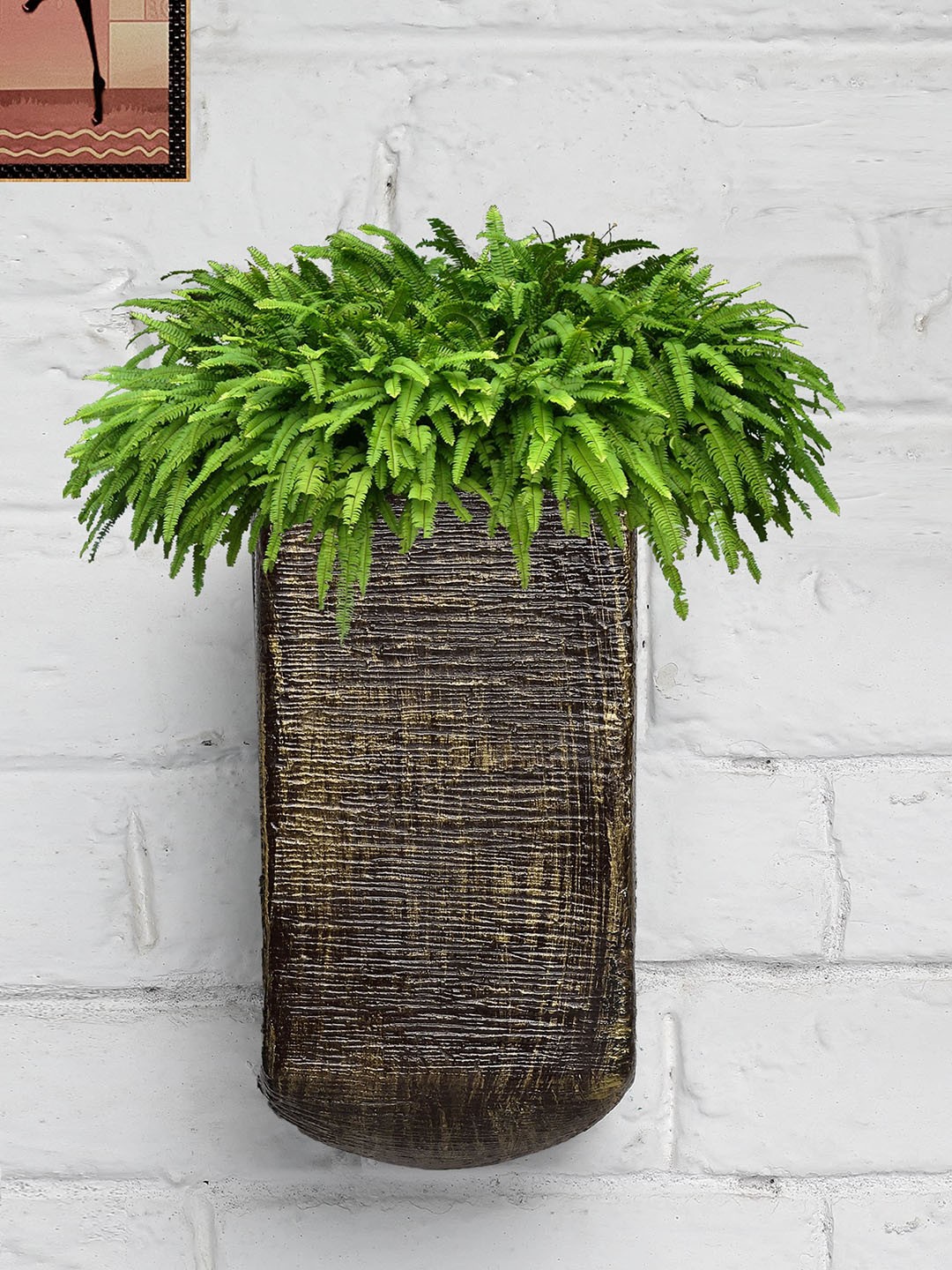 

Stylespace by Isha Brown U Shaped Fiber Wall Hanging Planter