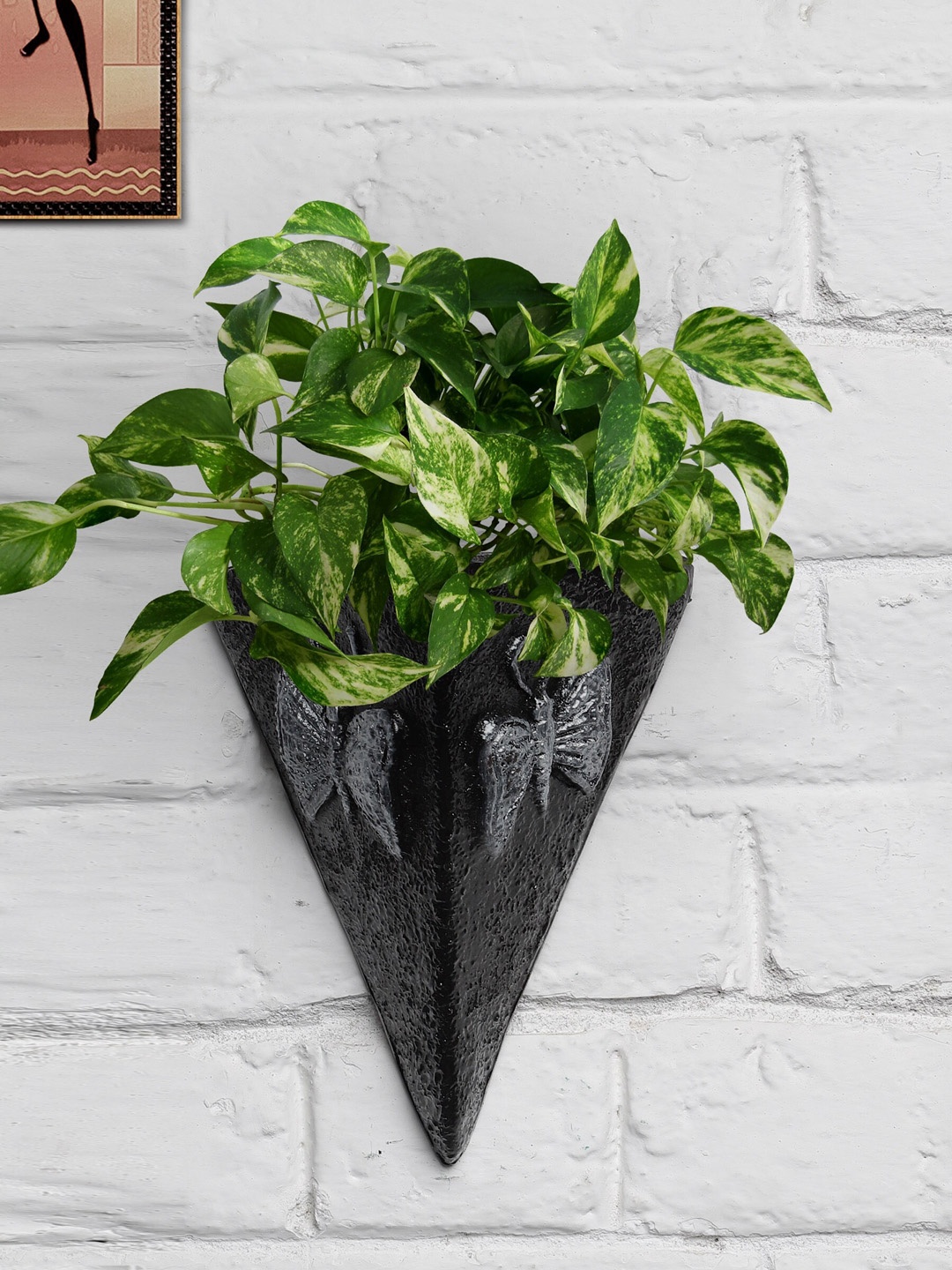 

Stylespace by Isha Black Triangle Shaped Fiber Wall Hanging Planter