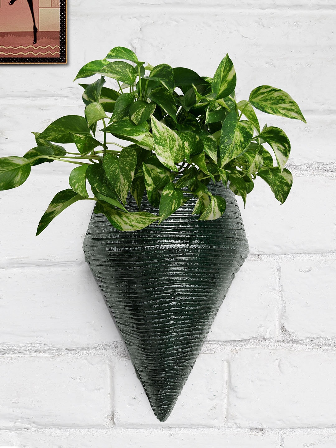 

Stylespace by Isha Green Cone Shaped Fiber Wall Hanging Planter
