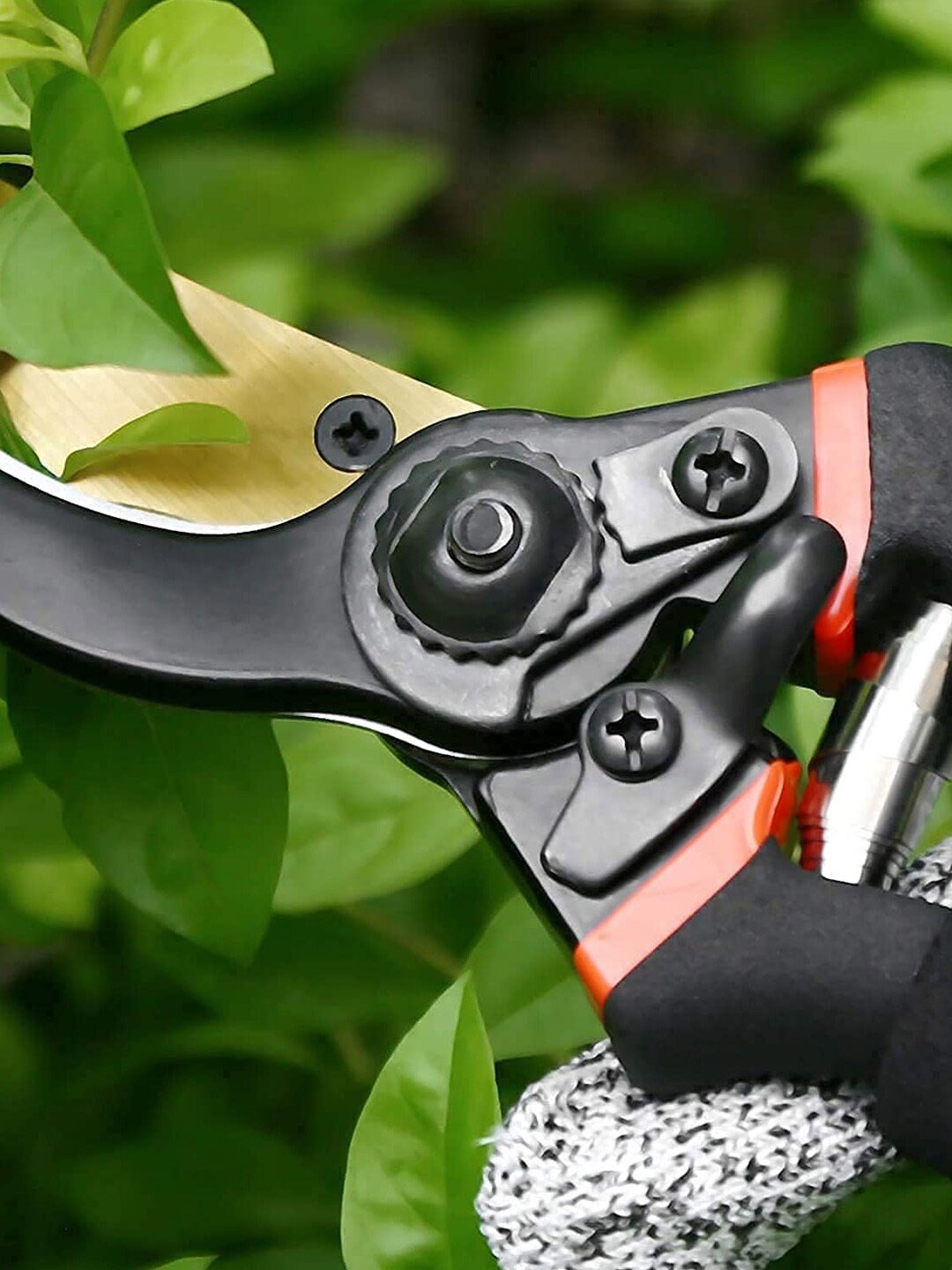 

Kuber Industries Black & Gold-Toned Stainless Steel Heavy Duty Gardening Shear