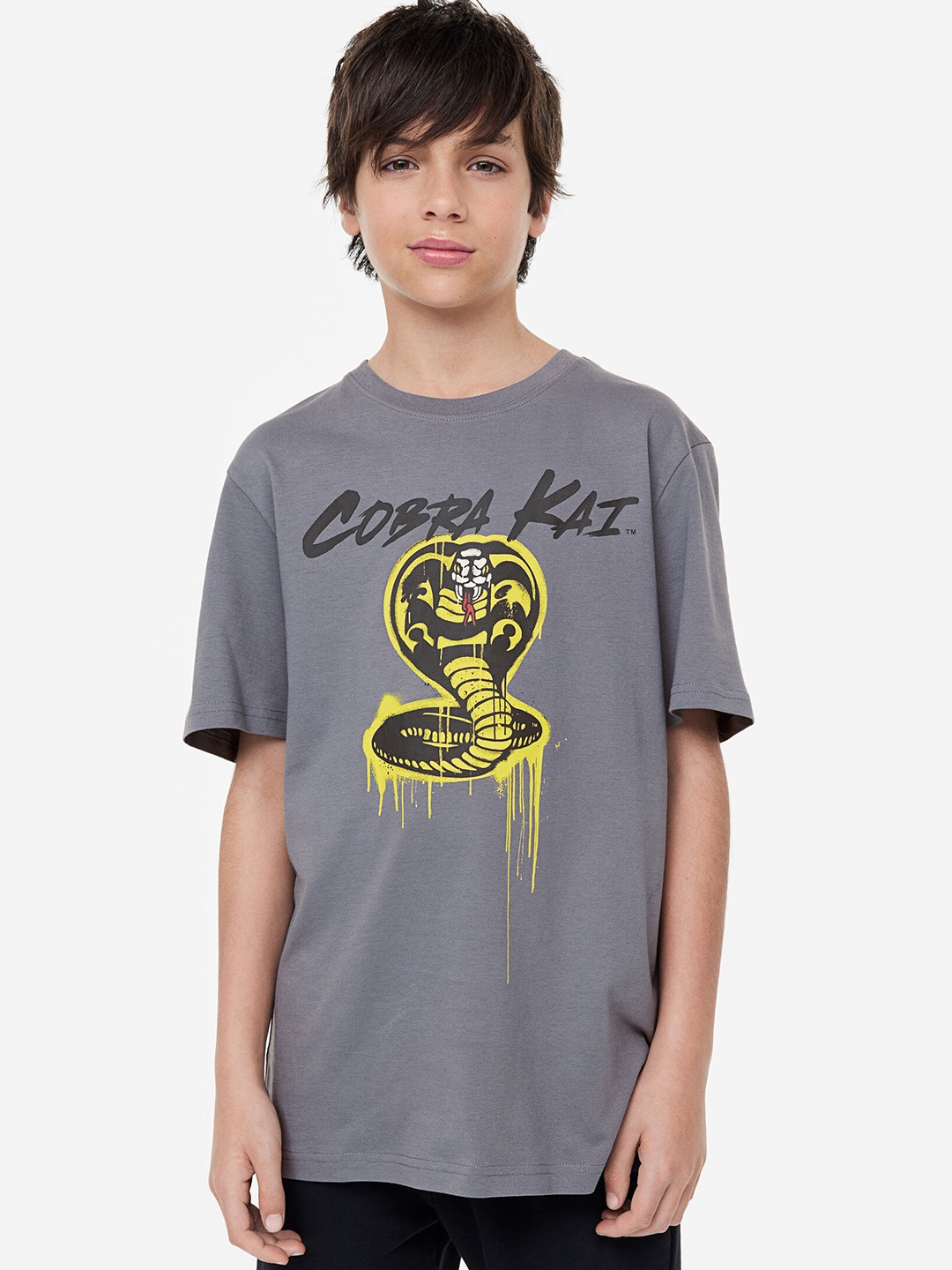 

H&M Boys Printed Pure Cotton T-shirt, Grey