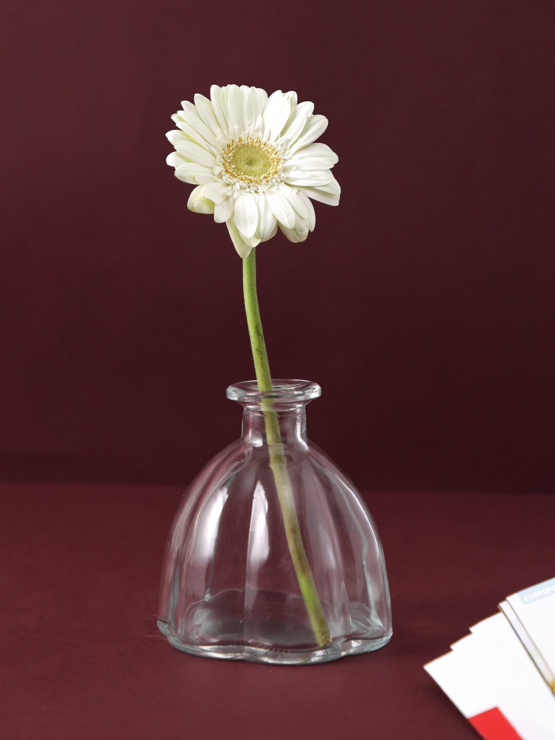 

TAYHAA Transparent Oval Jar styled Vase
