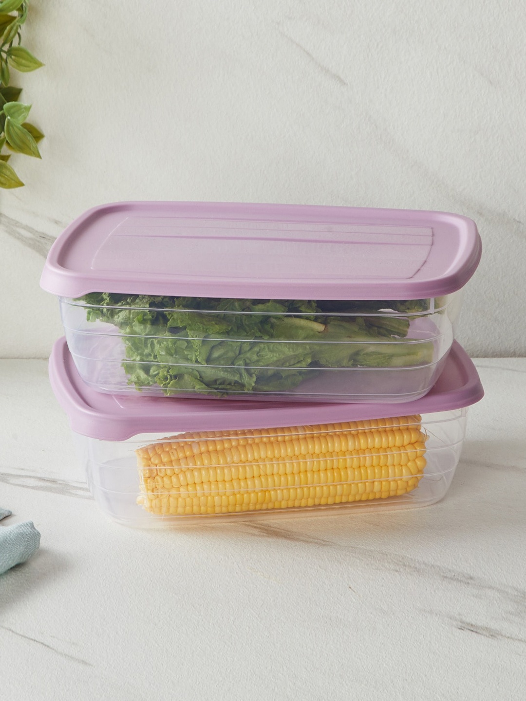 

Home Centre Fiesta Valiant Purple & Transparent 2 Pieces Food Containers 3 L Each