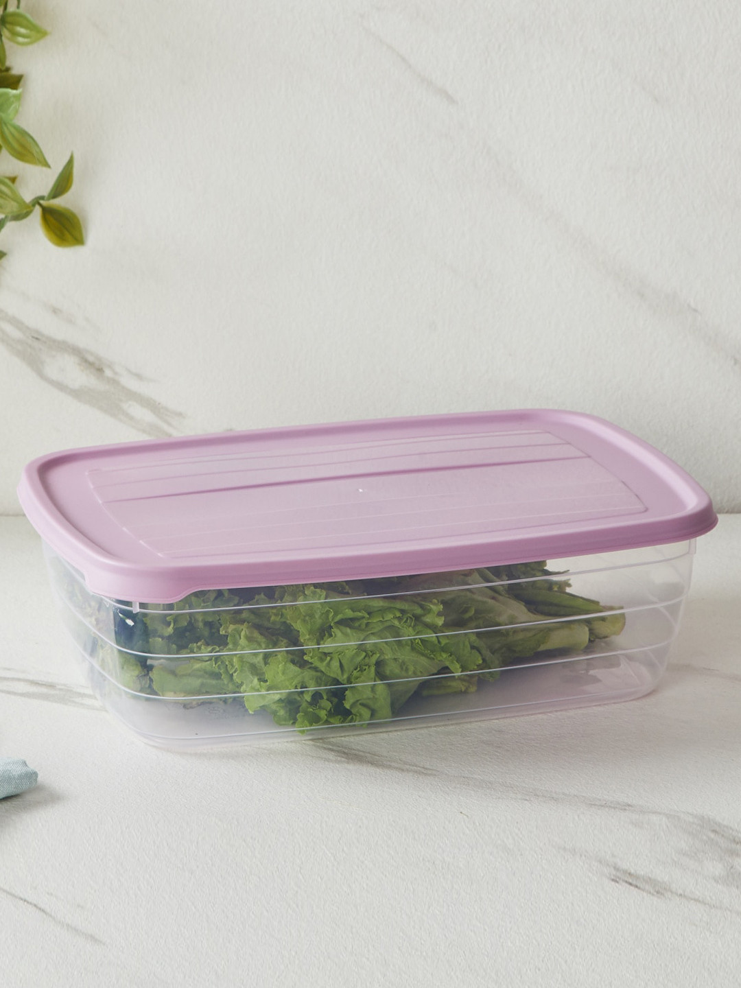 

Home Centre Fiesta Valiant Purple & Transparent Polypropylene Storage Food Container 4.5L
