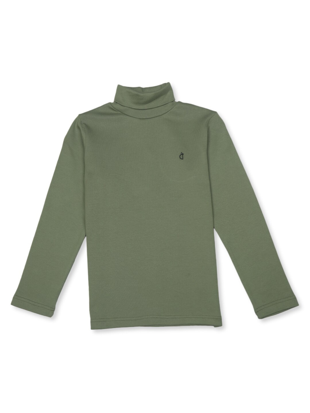 

Gini and Jony Boys Turtle Neck Cotton Pullover, Olive