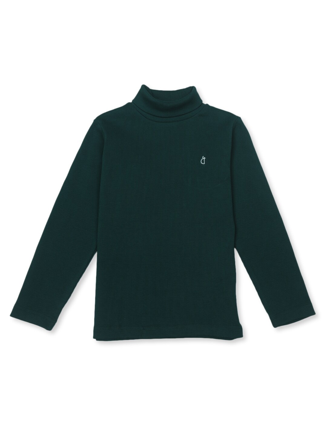 

Gini and Jony Boys Turtle Neck Long Sleeves Cotton Pullover, Teal