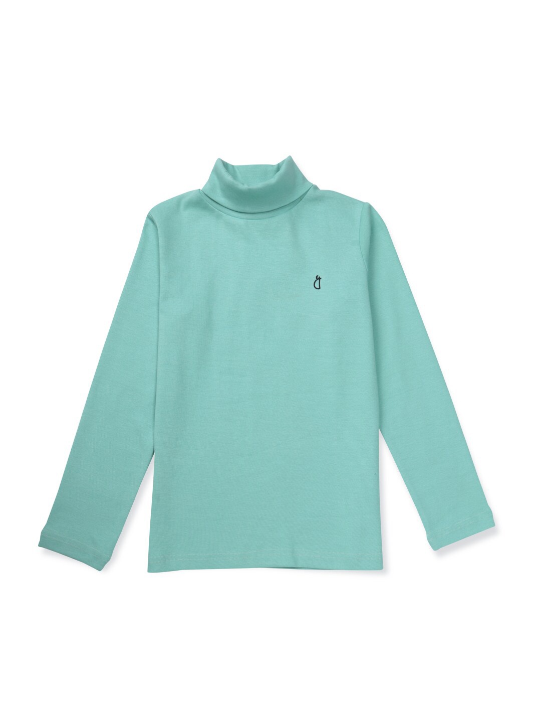 

Gini and Jony Girls Turtle Neck Long Sleeves Cotton Pullover, Sea green
