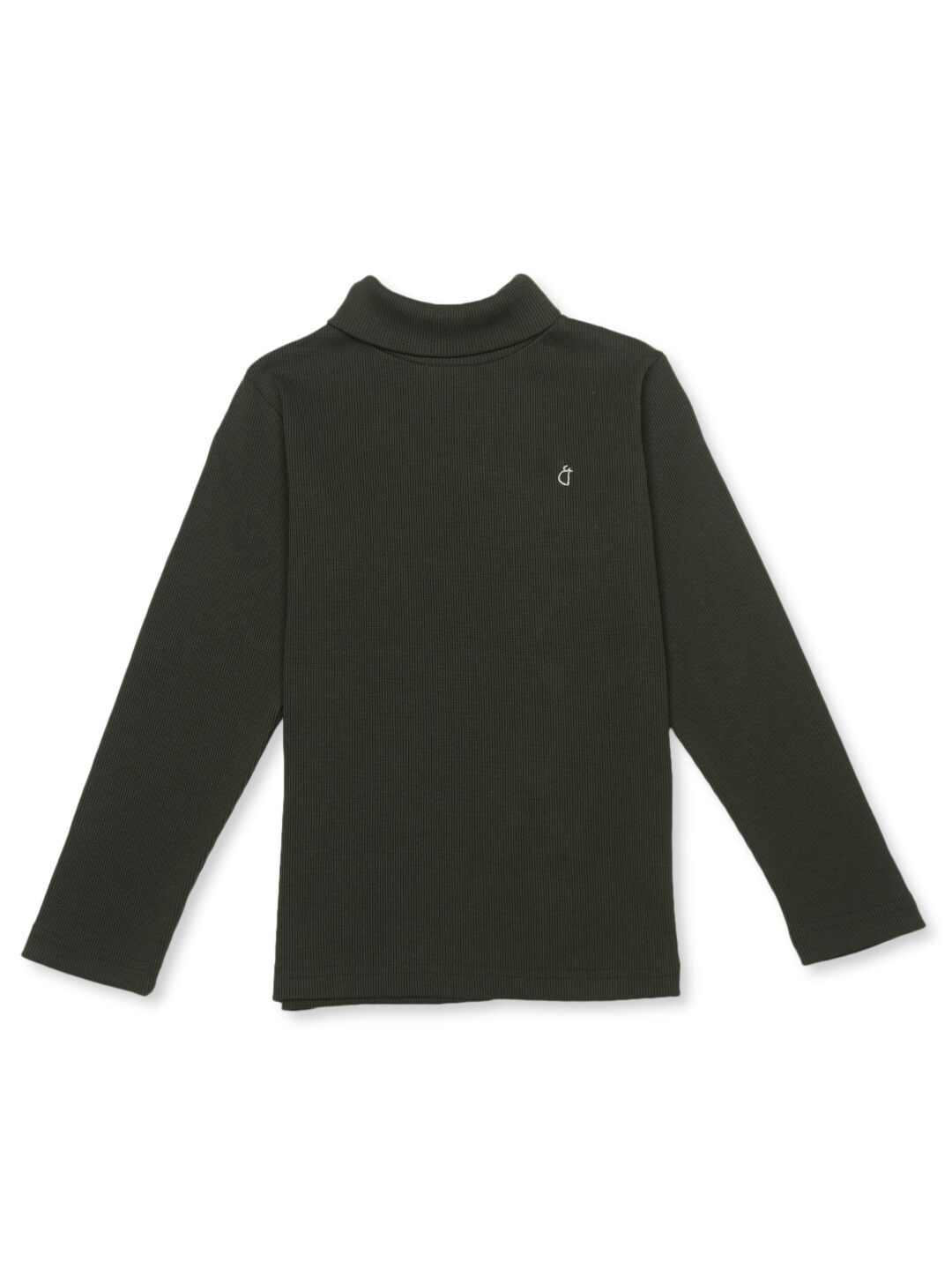 

Gini and Jony Boys Turtle Neck Cotton Pullover, Olive