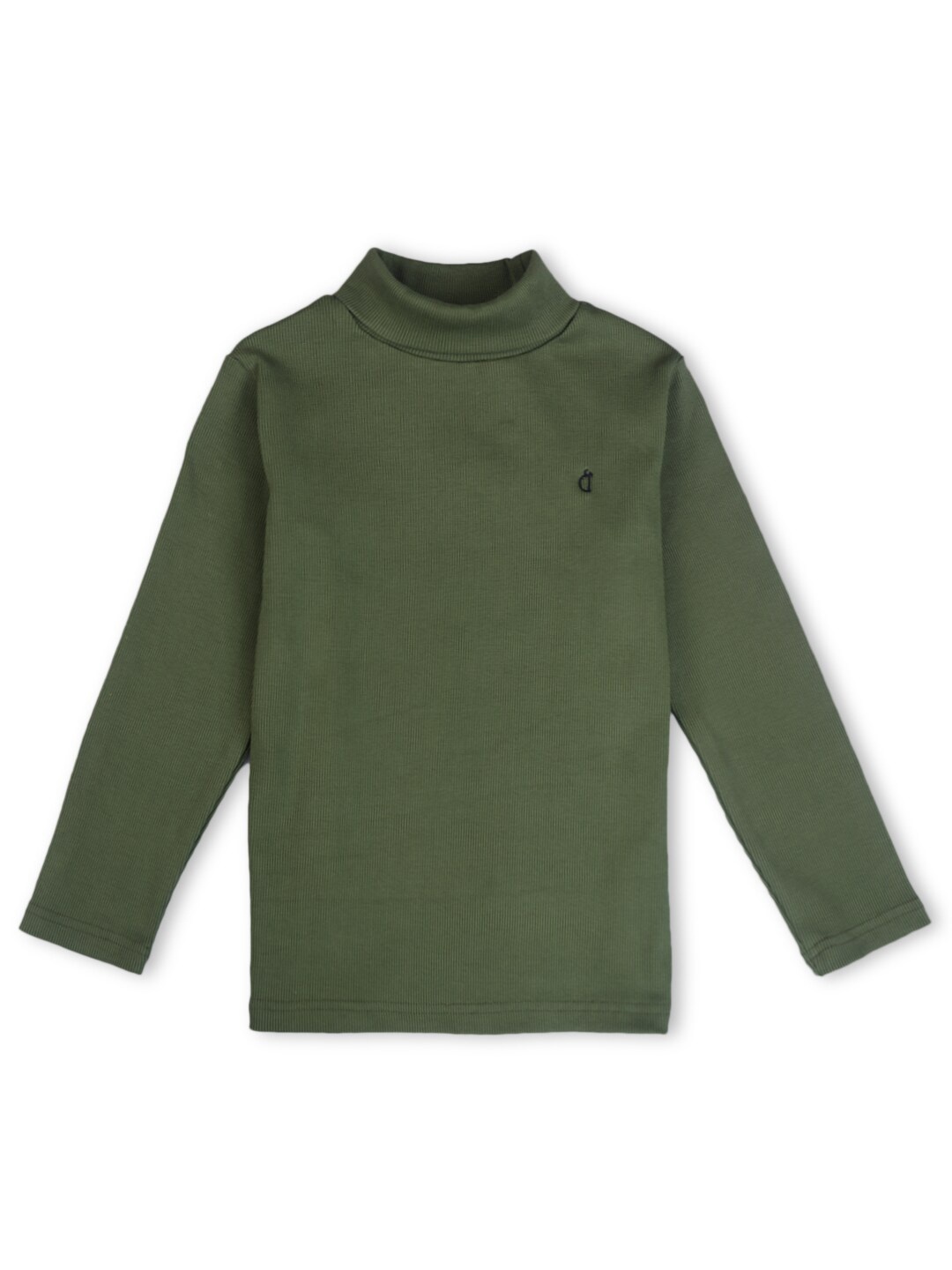 

Gini and Jony Boys Turtle Neck Long Sleeves Cotton Pullover, Olive