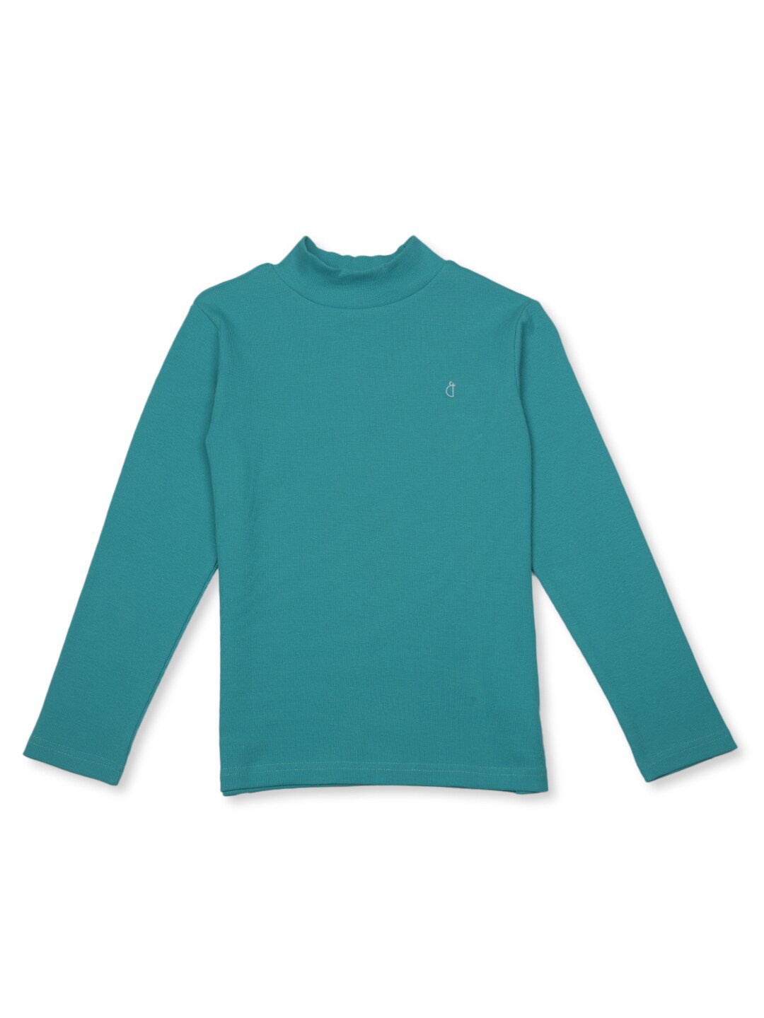 

Gini and Jony Girls Turtle Neck Long Sleeves Cotton Pullover, Blue
