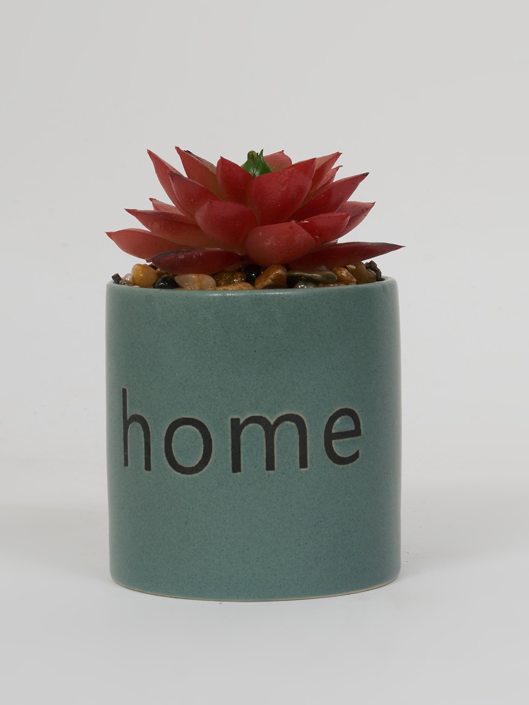 

Home Centre Orange & Green Succulent Ceramic Plant, Blue