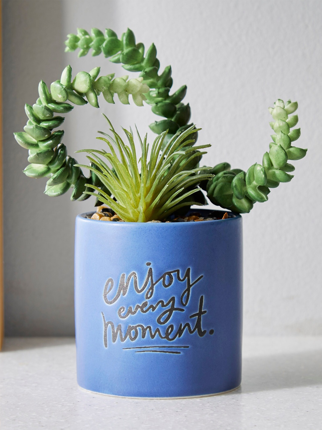 

Home Centre Blue Garnet Garden Artificial Plant With Ceramic Pot