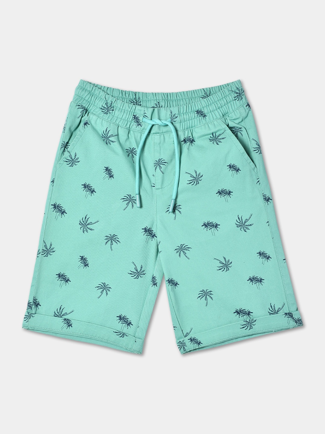

R&B Boys Mid-Rise Conversational Printed Woven Shorts, Sea green